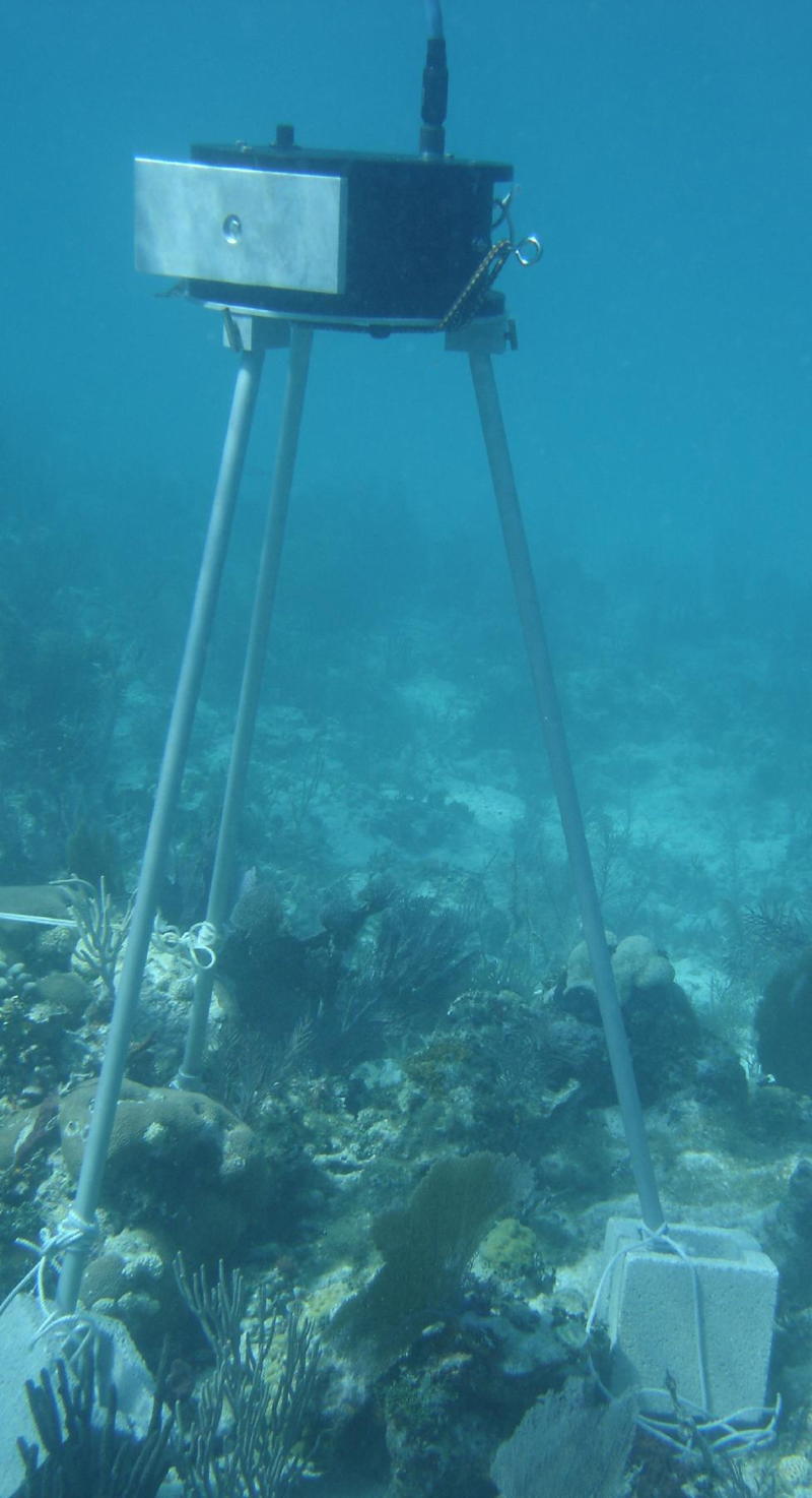 MSCAM deployed on seabed