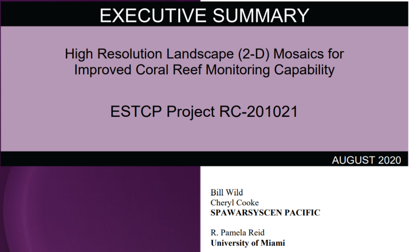 Cover page of project executive summary