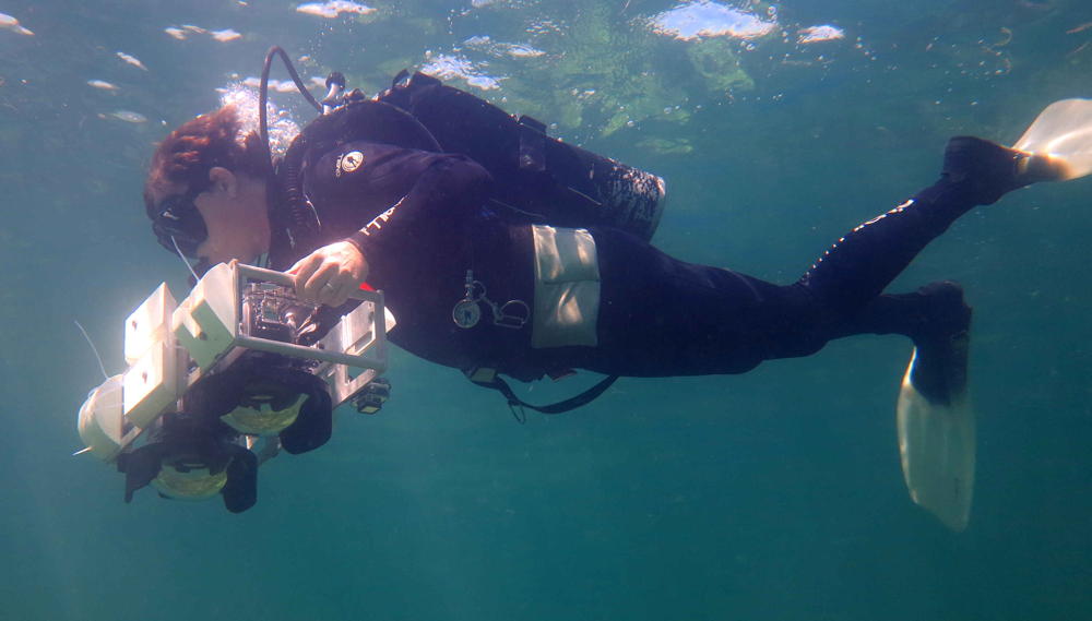 diver with dual SLR cameras