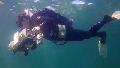 Diver with dual camera system