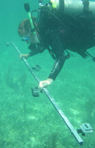 diver with gopro array of cameras