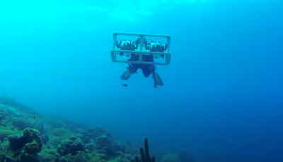 Diver with dual camera system