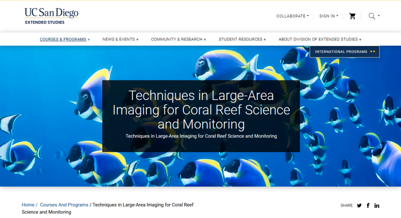 Large Area Imaging short course banner