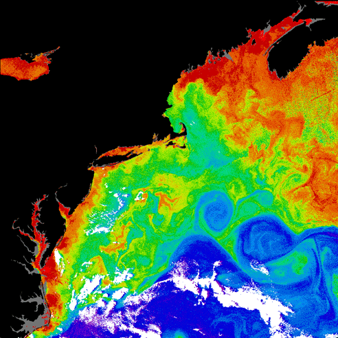 Gulf Stream - Western boundary current - rings