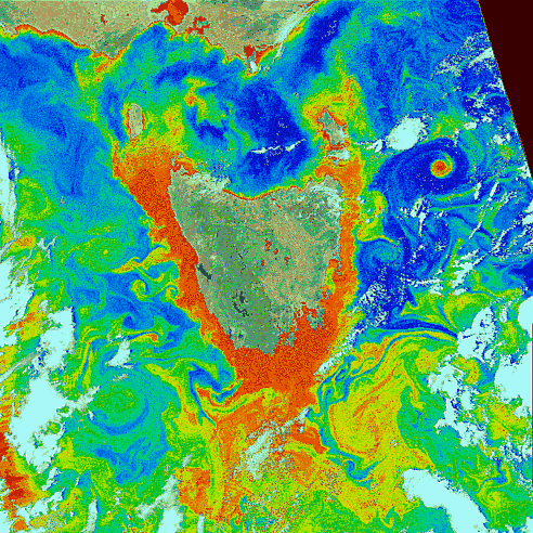 Tasmanian Ocean Chlorophyll